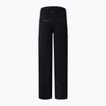 Men's ski trousers BOGNER FIRE+ICE Nic-T black 2
