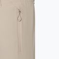 Men's ski trousers BOGNER FIRE+ICE Nic-T nomadic desert 3