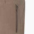 Men's ski trousers BOGNER FIRE+ICE Nic-T walnut 3
