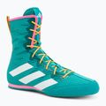 Boxing shoes adidas Box Hog 4 turquise