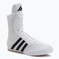 Boxing shoes adidas Box Hog II white/black