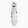Boxing shoes adidas Box Hog II white/black 5