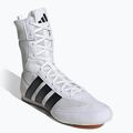 Boxing shoes adidas Box Hog Classic white