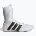 Boxing shoes adidas Box Hog Classic white 2
