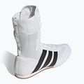 Boxing shoes adidas Box Hog Classic white 4