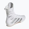Boxing shoes adidas Box Hog 4 white/silver 2