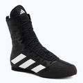 Boxing shoes adidas Box Hog 4 black/white