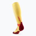 CEP Run Tall 5.0 women's compression socks marigold/burgundy 3