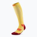 CEP Run Tall 5.0 men's compression socks marigold/burgundy 2