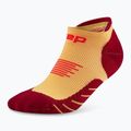 CEP Men's Compression Socks Run No Show 5.0 marigold/burgundy 2