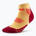 CEP Men's Compression Socks Run Low Cut 5.0 marigold/burgundy 2
