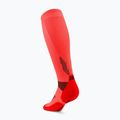 Men's compression socks CEP Run Tall 5.0 neon coral 3