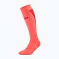 Men's socks CEP Ultralight Tall 4.0 neon coral/red 2