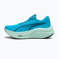 Men's running shoes PUMA MagMax Nitro mint melt/speed Bblue