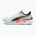 Men's running shoes PUMA Velocity Nitro 4 Hyrox puma white / mint 8
