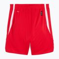 Men's basketball shorts PUMA teamJAWS Starter for all time red 2