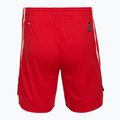Men's basketball shorts PUMA teamJAWS Starter for all time red 2