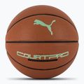 PUMA teamJAWS Court Pro Basketball leather brown/dark shadow size 7