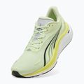 Men's running shoes PUMA Electrify Nitro 4 green 3