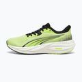 Running shoes Puma Electrify Nitro 5 sunny lime/puma black