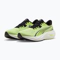 Running shoes Puma Electrify Nitro 5 sunny lime/puma black 2