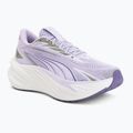 Running shoes Puma Maxima Pro light lavender/plum purple