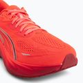 Men's running shoes Puma Velocity Nitro 5 ultra red/red rhythm 7