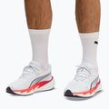 Men's running shoes Puma Velocity Nitro 5 puma white/ultra red 7