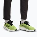 Men's running shoes Puma Velocity Nitro 5 sunny lime/moody gray 7