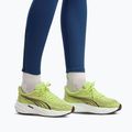 Women's running shoes Puma Velocity Nitro 5 sunny lime/puma black 7