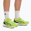 Men's running shoes PUMA Deviate Nitro 4 sunny lime/puma black 6