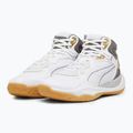 Men's basketball shoes PUMA Playmaker Pro Mid Trophies ash gray/cast iron/puma gold 8