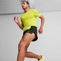 PUMA PR Classic Waist green 4