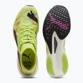 Men's running shoes PUMA Deviate Nitro Elite 2 Psychedelic Rush green 11