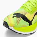 Men's running shoes PUMA Deviate Nitro Elite 2 Psychedelic Rush green 7