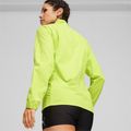 Women's running jacket PUMA Run Elite Ultraweave lime pow 4