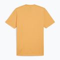 Men's PUMA Essentials Heather Tee ginger tea T-shirt 2