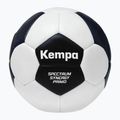 Kempa Spectrum Synergy Primo Game Changer handball grey/green size 0 4