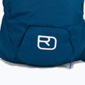 Avalanche backpack ORTOVOX Free Rider S 20 l blue 4680000002 4