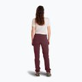 Women's softshell trousers ORTOVOX Brenta maroon 6224400026 2