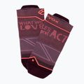 Women's trekking socks ORTOVOX Alpine Light Low red 5479000005 4