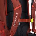 ORTOVOX Peak 45 hiking backpack red 4626700001 5