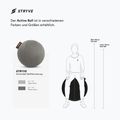 STRYVE Active Ball 65 cm stone grey 6