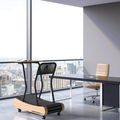 Walkolution Treadmill MTD900R Wanderlust Desk MTD900RI110M 4