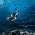 Electric motor SPINERA Underwater Powerfin/Scooter 6