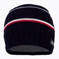 Men's winter beanie Descente Rickey 6485 navy blue DWBUGC02 2