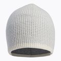 Women's winter beanie Descente Sonia 14 white DWCUGC23 2