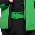 Men's ski jacket Descente Reign 19 green DWMUGK24 14