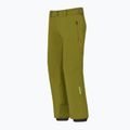 Men's ski trousers Descente Roscoe olive green 3