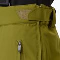Men's ski trousers Descente Roscoe olive green 9